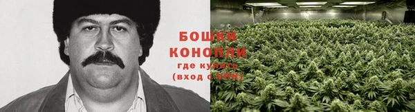 герыч Пестово