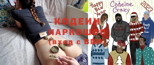 хмурый Вяземский