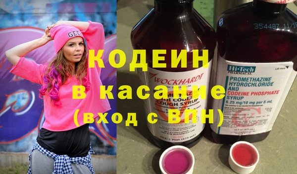 хмурый Вяземский