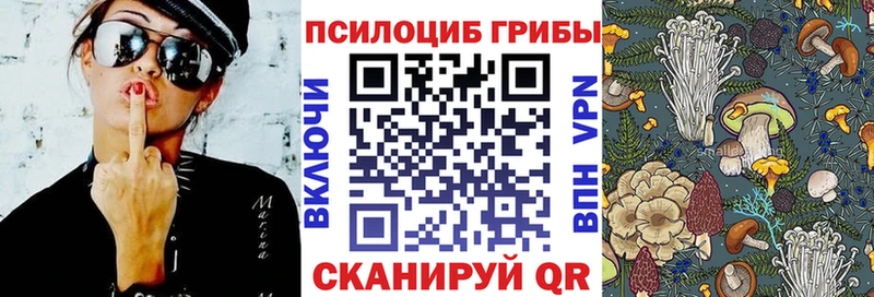 Галлюциногенные грибы Psilocybine cubensis Заринск